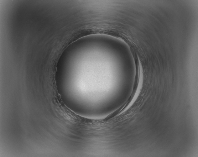 X0000073911153200608251516