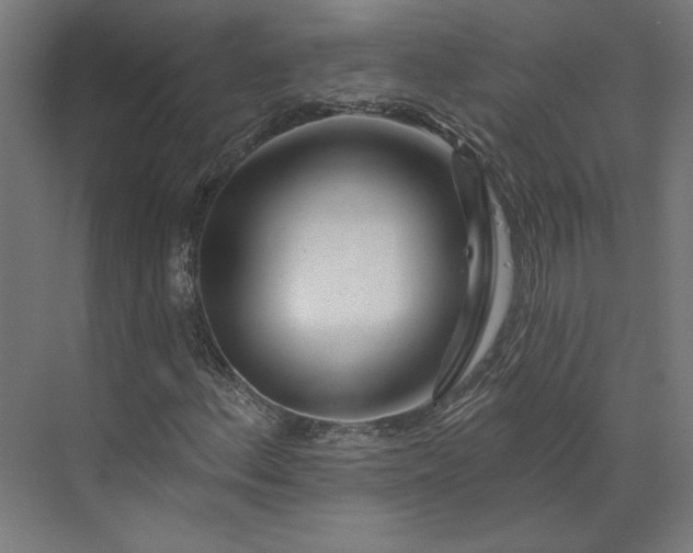 X0000073911156200608251516