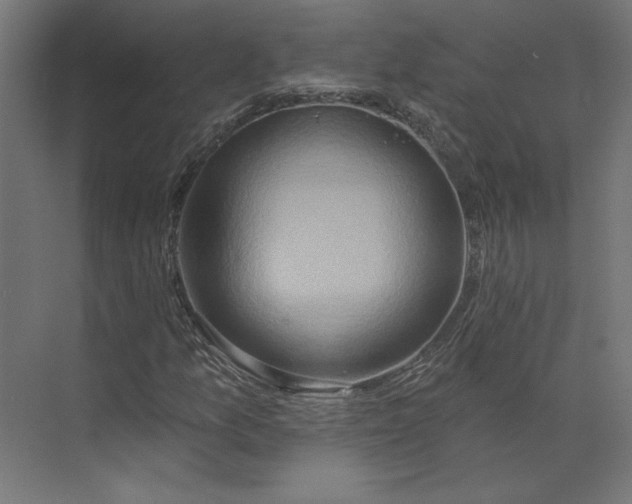 X0000073911157200608251516