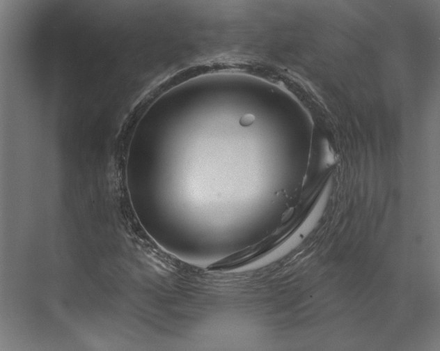 X0000073911160200608251516