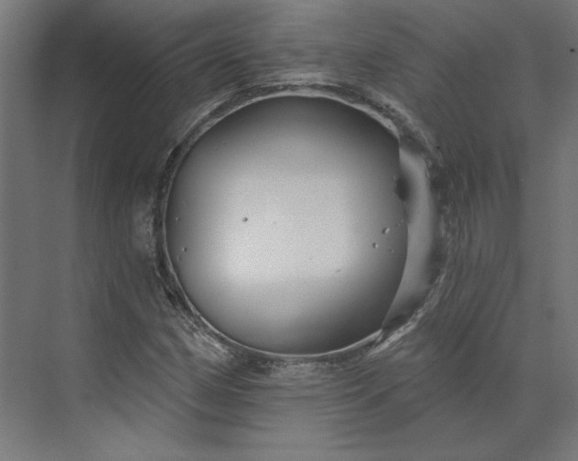 X0000073911162200608251516