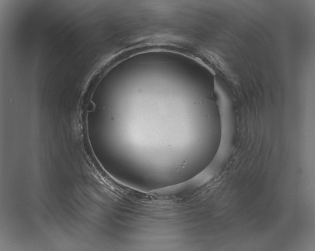 X0000073911164200608251516
