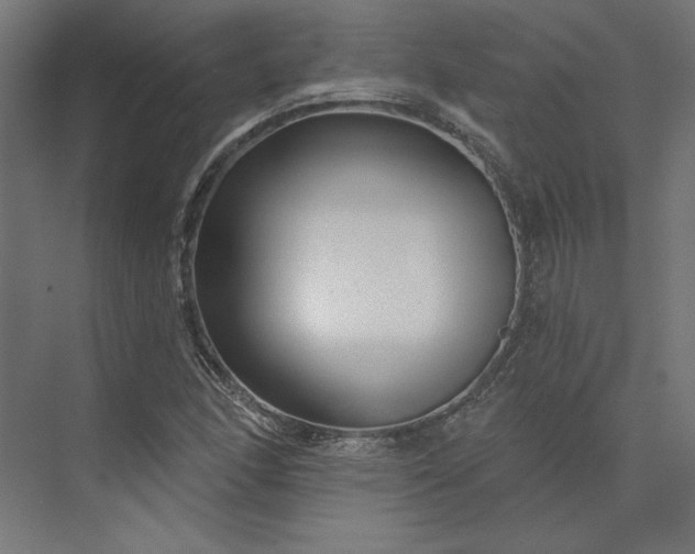 X0000073911166200608251516