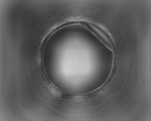 X0000073911167200608251516