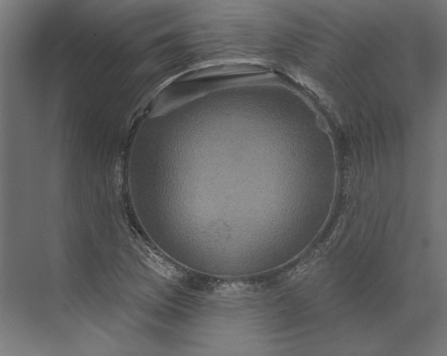 X0000073911169200608251516