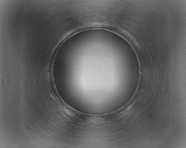 X0000073911170200608251516