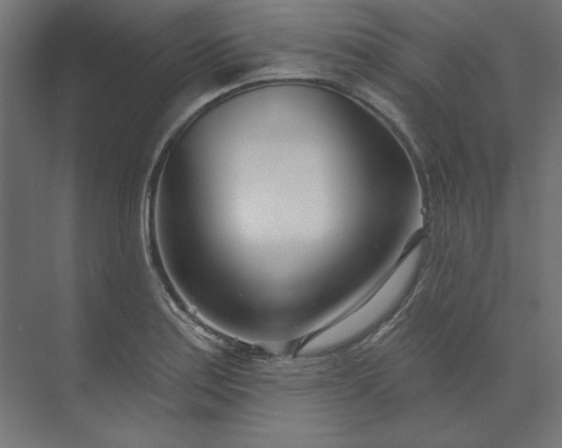 X0000073911179200608251515