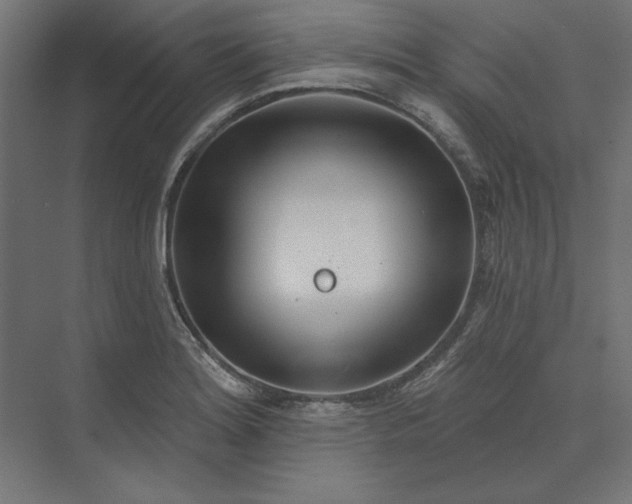 X0000073911180200608251515