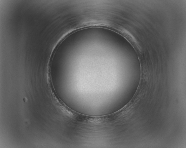 X0000073911182200608251515