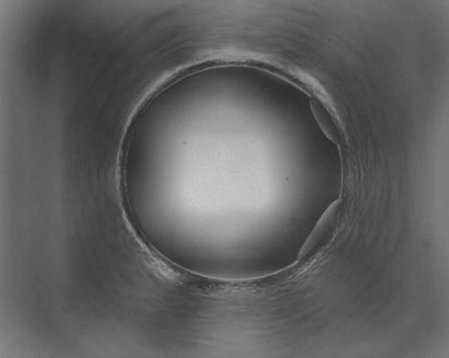 X0000073911183200608251515