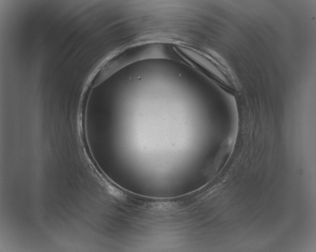 X0000073911188200608251515