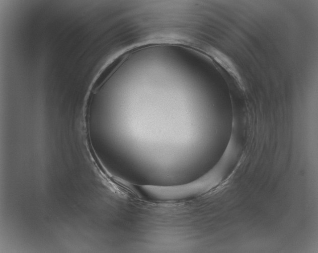 X0000073911192200608251515
