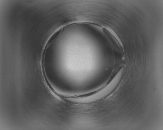 X0000073911197200608251515
