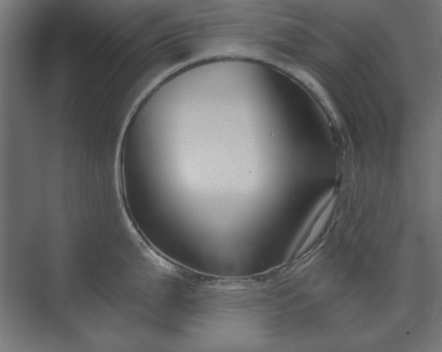 X0000073911199200608251515
