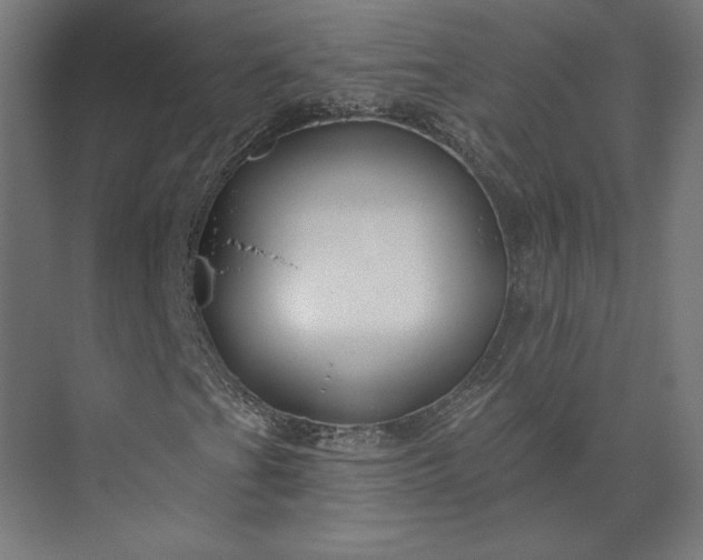 X0000073911201200608251514
