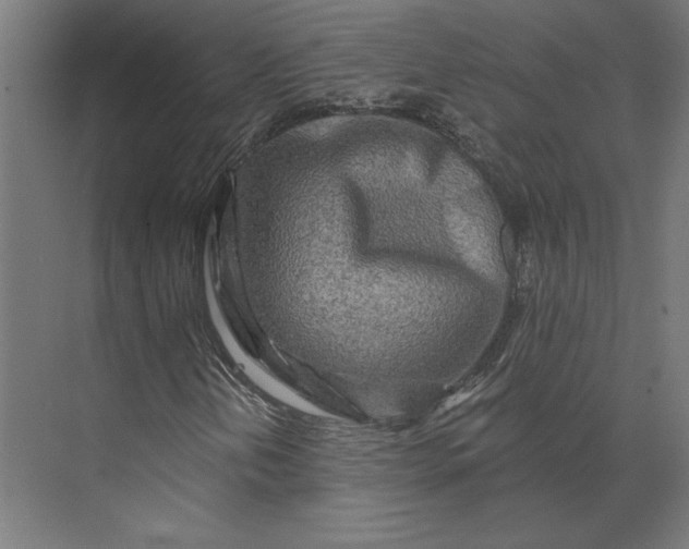 X0000073911202200608251514
