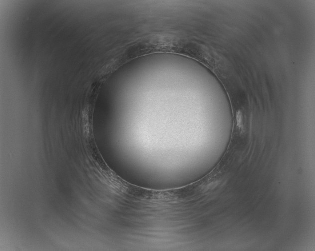 X0000073911203200608251514