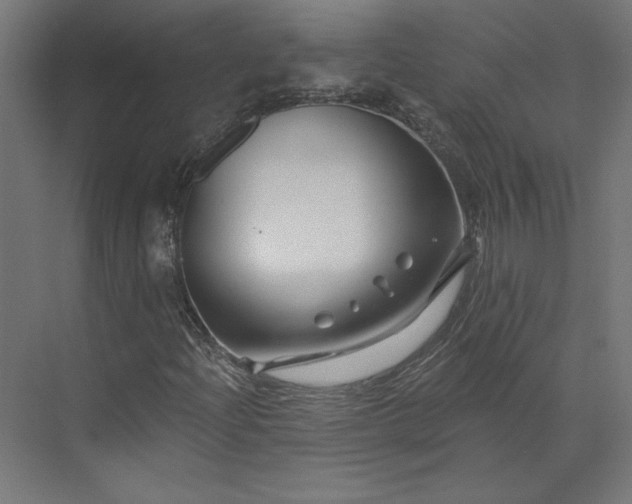 X0000073911204200608251514