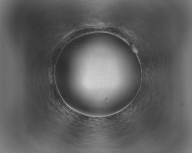 X0000073911205200608251514