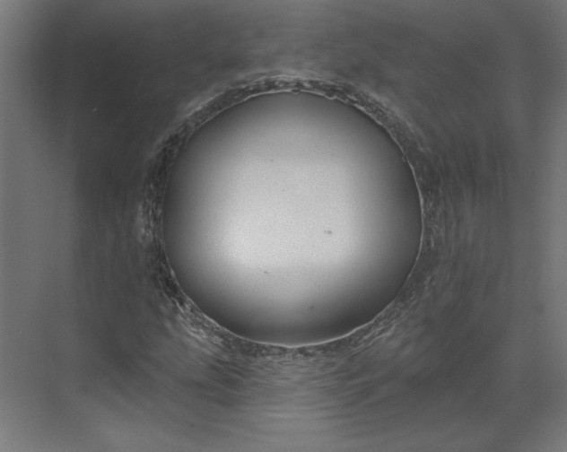 X0000073911207200608251514