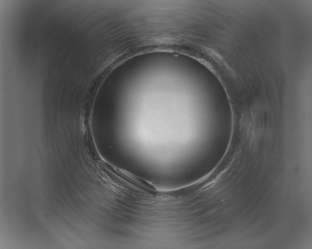 X0000073911209200608251514