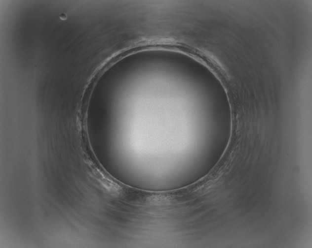 X0000073911212200608251514
