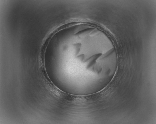 X0000073911215200608251514