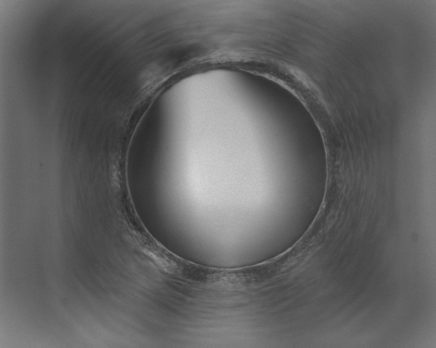 X0000073911217200608251514