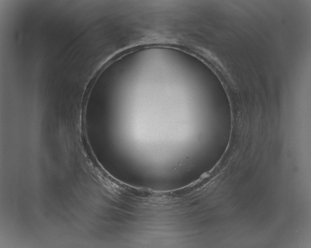 X0000073911220200608251515