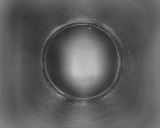 X0000073911222200608251515