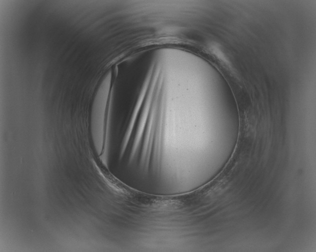X0000073911225200608251515