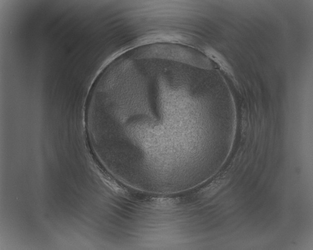 X0000073911226200608251515