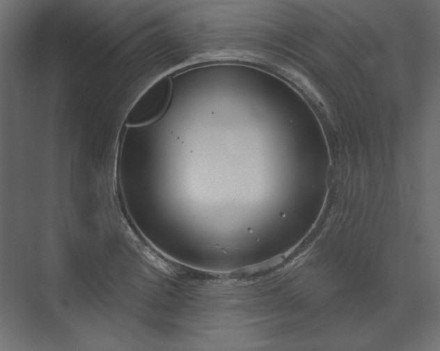 X0000073911228200608251515