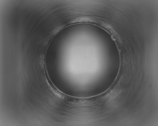 X0000073911233200608251515