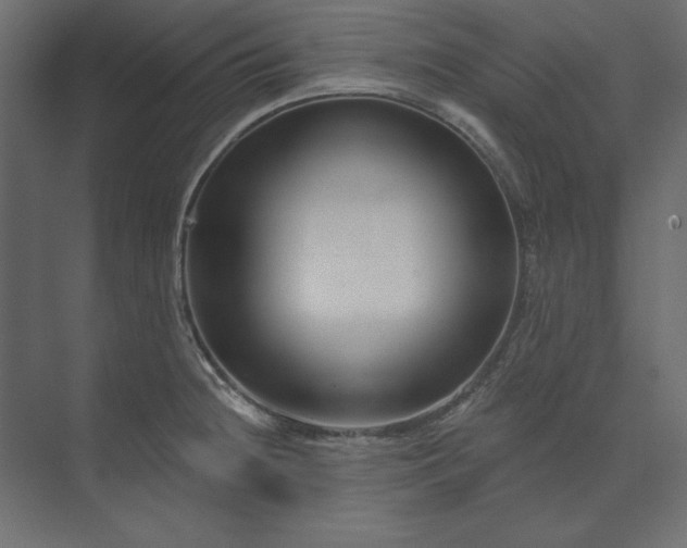 X0000073911236200608251515