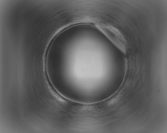 X0000073911238200608251515