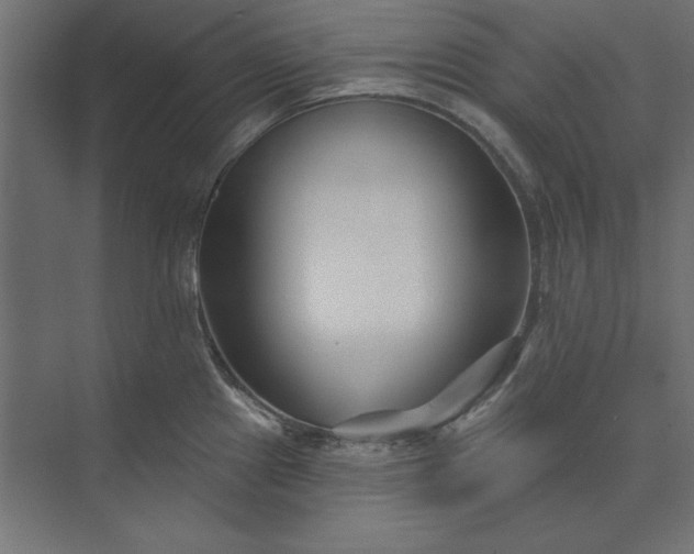 X0000073911241200608251515