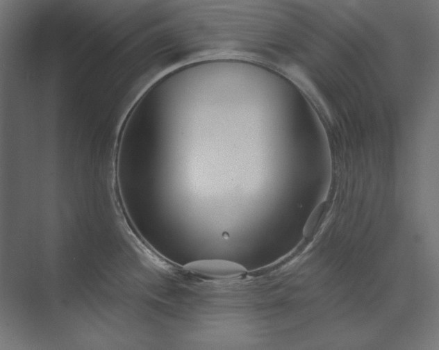X0000073911244200608251515