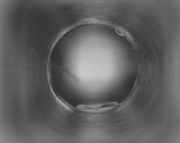 X0000073911247200608251515