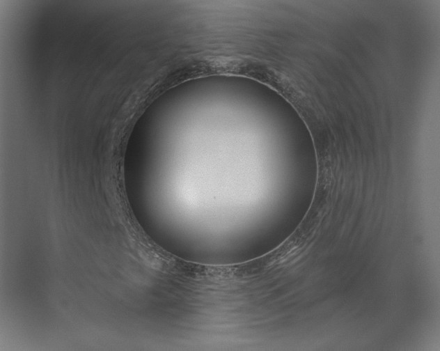 X0000073911249200608251514