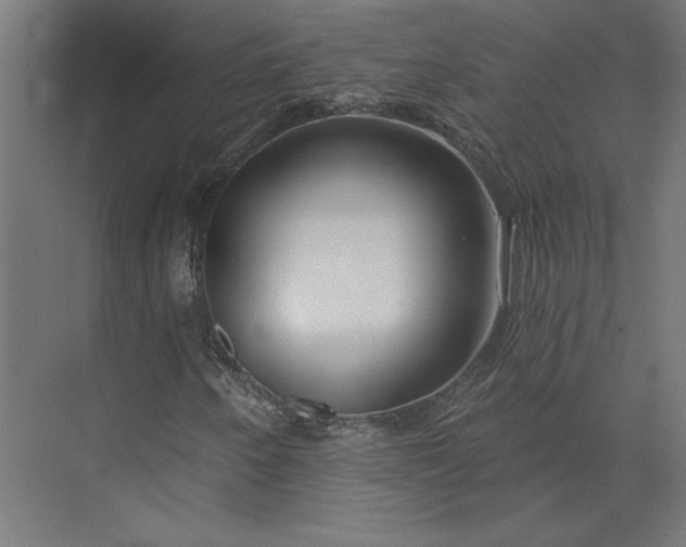 X0000073911250200608251514