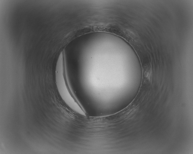 X0000073911252200608251514