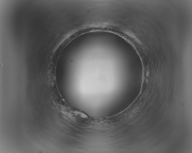 X0000073911256200608251514