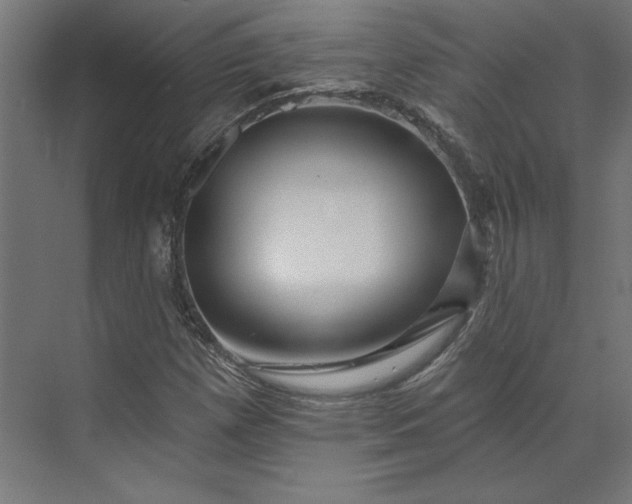 X0000073911257200608251514