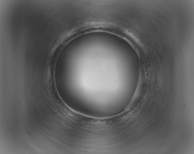 X0000073911261200608251514