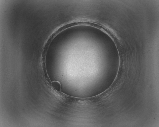 X0000073911264200608251514