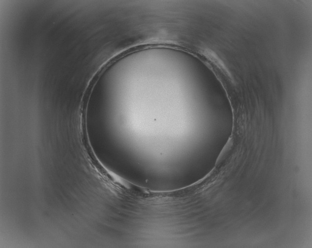 X0000073911268200608251514