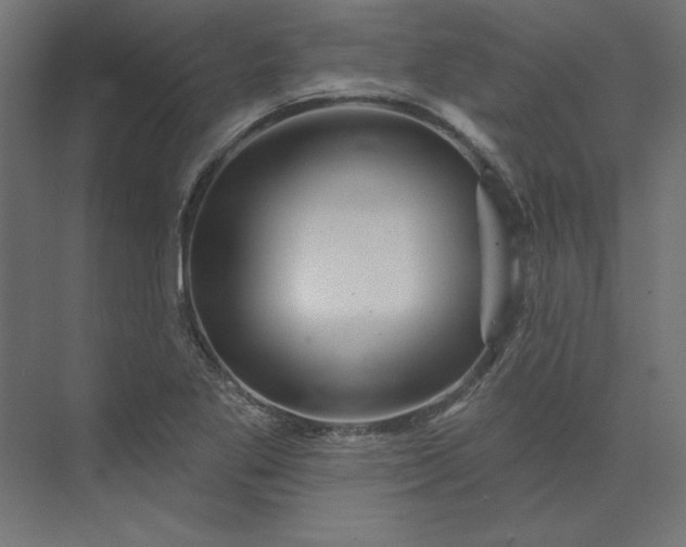 X0000073911269200608251514