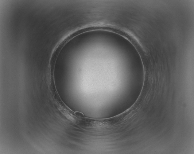 X0000073911270200608251514