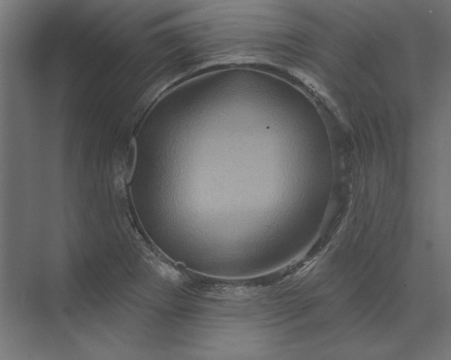 X0000073911273200608251514